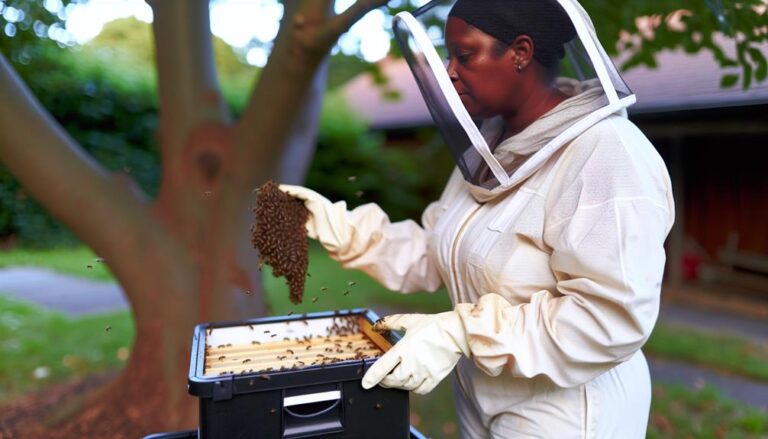 Affordable Bee Swarm Removal: Your Ultimate Solution