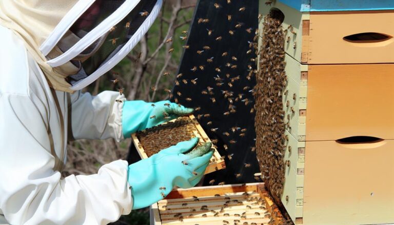 Bee Relocation: Compassionate Methods for Transferring Hives