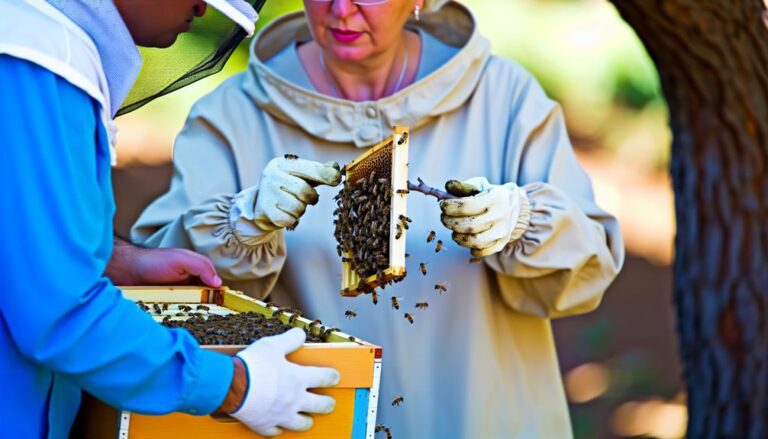 6 Safe and Efficient Bee Relocation Methods