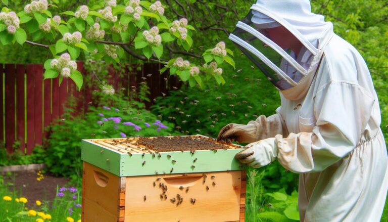 Ethical Bee Removal and Relocation: A Step-by-Step Guide